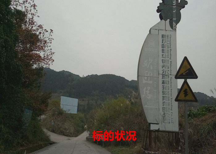 �����г��������ٺ����񻪴�4��������ʲ�����