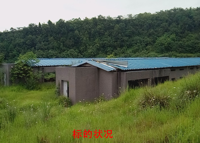 �����г��������ٺ����񻪴�4��������ʲ�����