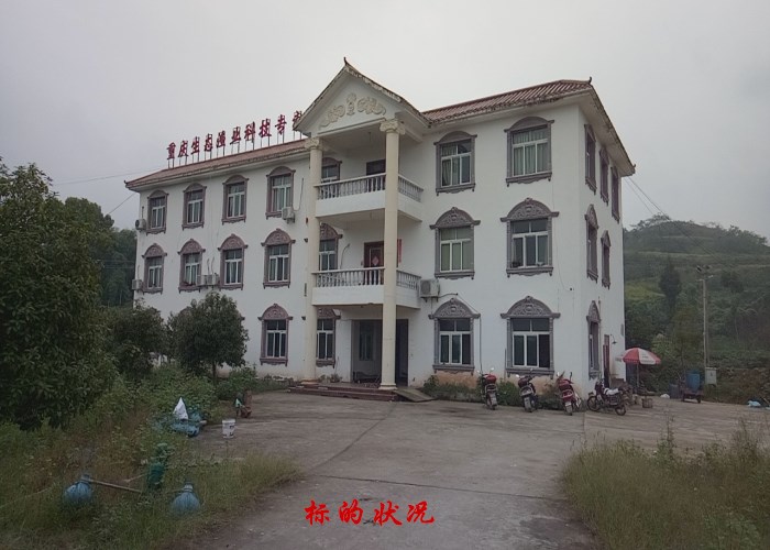 �ϴ������Žֵ���ɽ�塢�������������ת��ӪȨ���������ϵĸ�������������������