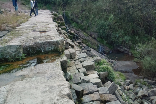 �����зᶼ�ر�����˫��������ҹ�ũҵ�ۺϿ�����Ŀ����