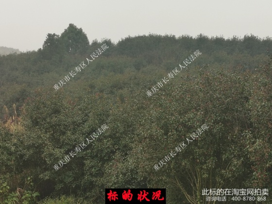 һ к̷̬԰޹˾ֲг̫ʹĺҶʯ骡𻨵ľһ